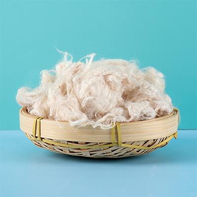 一種神秘的大生物纖維是什么？